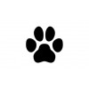 WORLD OF PETS