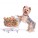 PET SUPPLIES