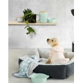 PET ACCESSORIES