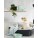 PET ACCESSORIES