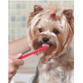 PET HYGIENE