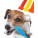 TOYS AND TREATS