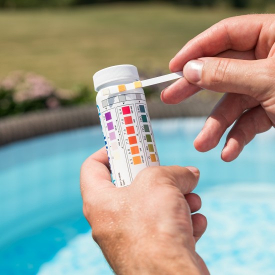 PH, Alkaline And Chlorine Dip Test Strips (25 Test Strips Included)